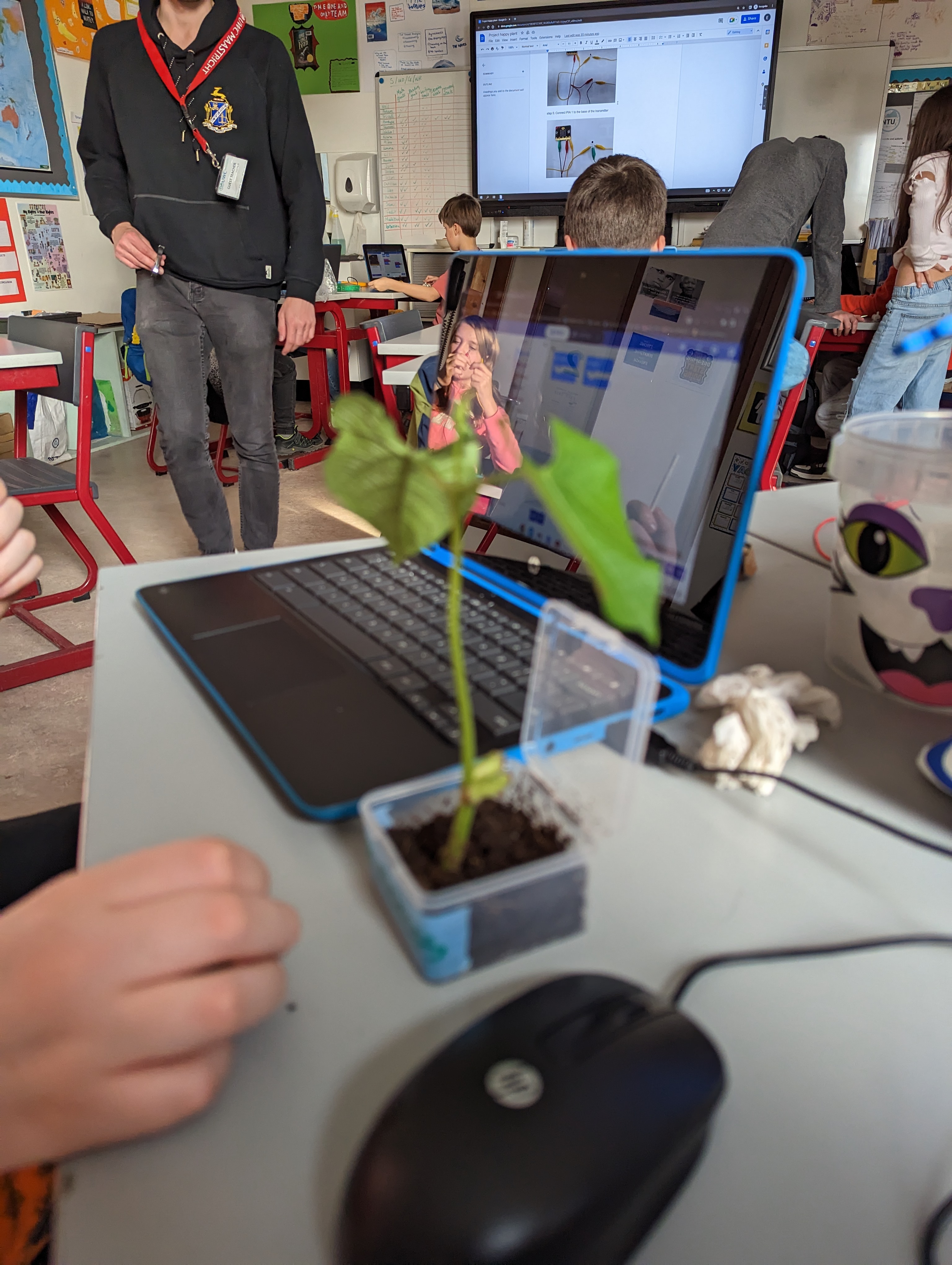 plant_project