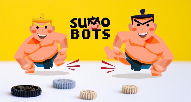 Sumobot competition 2023